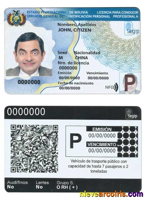 Bolivia driving license, (2017present)